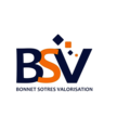 BSV